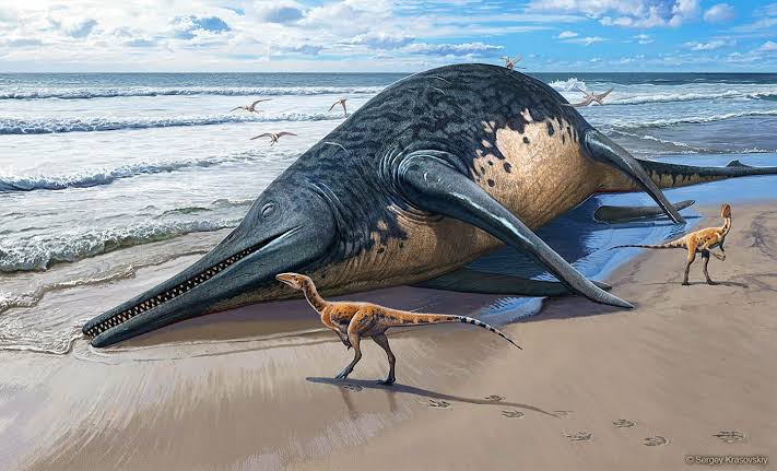 Largest marine reptile ever known to exist was discovered by an 11-year-old girl walking on the beach
