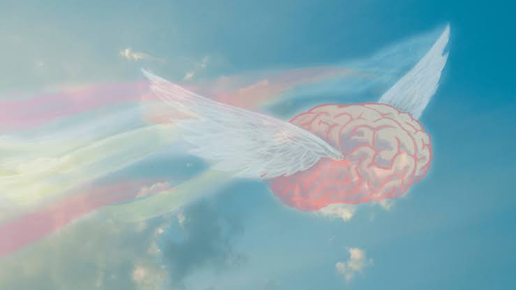 People Learned to Fly With VR Wings, Then Their Brains Did Something Weird