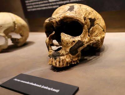 Neanderthals May Have Lived A Little Longer Than We Thought – And We Now Know Where