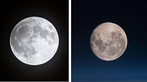Does the moon look the same from everywhere on Earth?