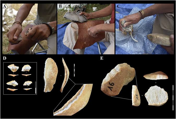 Modern experiments suggest rhino teeth may have been part of Neanderthal toolkits