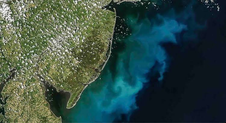 NASA Says Something is “Brewing” in Ocean Waters Off the East Coast—And Recent Satellite Images Prove It