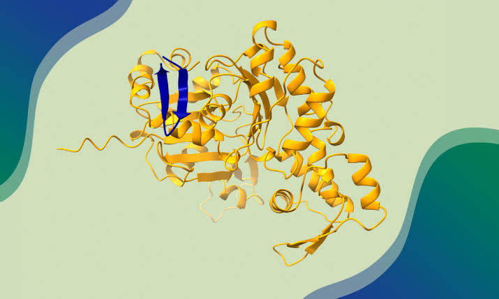 Scientists Reveal Thousands of Proteins in Dark Proteome