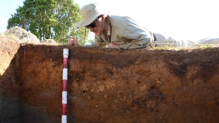 'Speculation' and 'egregious failure': 30 researchers publish scathing critiques of study that questioned date of early human occupation of Monte Verde in Chile