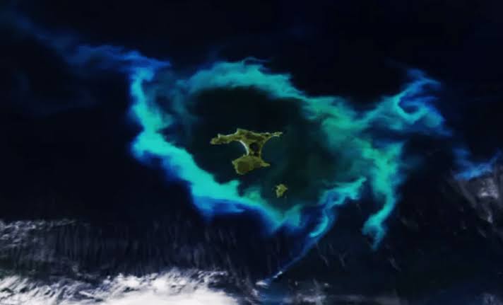 NASA Satellite Captures Strange Gleaming Halo Surrounding New Zealand’s Chatham Islands