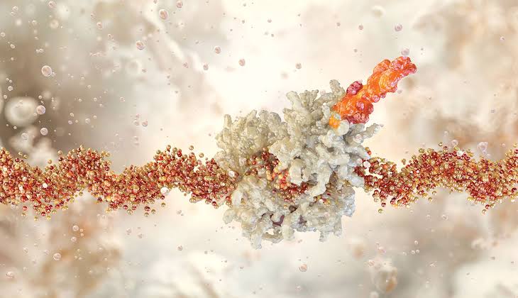 How many genes are in the human genome? For once, it’s more than we thought