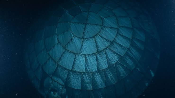 Artemis II heat shield aced its blistering reentry, ghostly underwater photo reveals