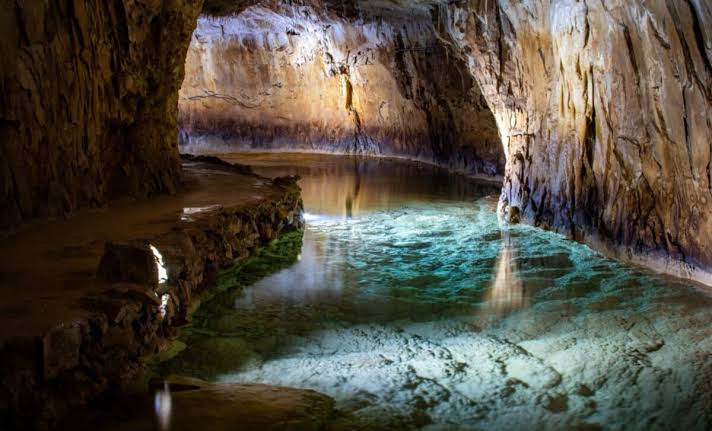 They Went Snorkeling in a Cave and Found the Floor Covered in Ancient Bones