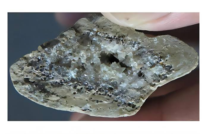 Ice Age butcher's tools are a sign of ancient humans' creativity during hard times