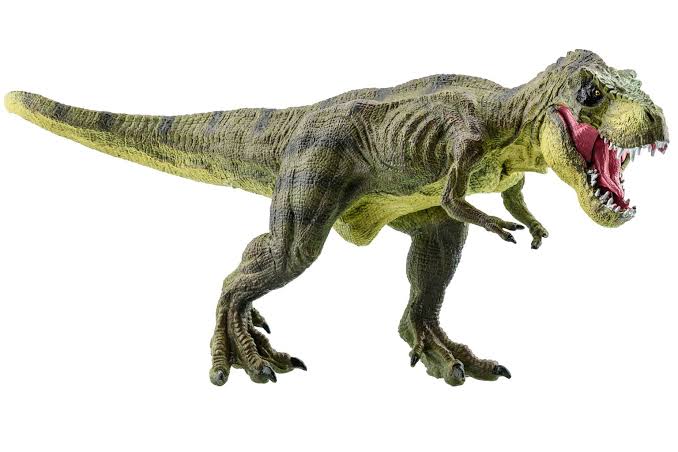 Why did ‘Tyrannosaurus rex’ have such short arms?