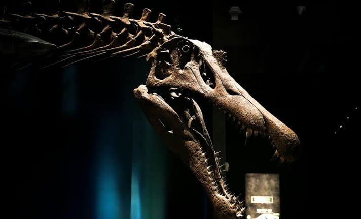 Scientists Unearthed A 40-Foot 'Hell-Heron' Dinosaur Hidden in the Central Sahara for 95 Million Years