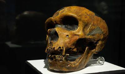 “The Old ‘Did Neanderthals Even Speak?’ Question" Is "Very Hard To Sustain”: Genetic Hardware For Language Abilities Evolved Long Before Modern Humans Appeared