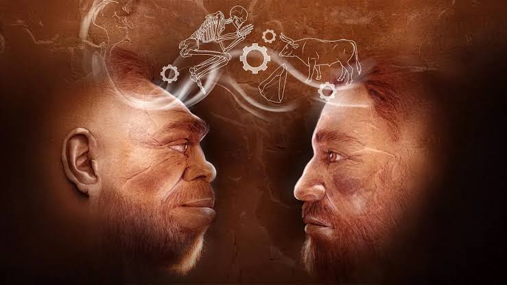 110,000-year-old discovery rewrites human history: Neanderthals and Homo sapiens worked together