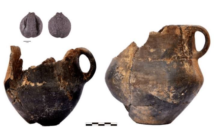 Scientists Discover the Surprising Food and Drink Habits of Bronze Age Societies