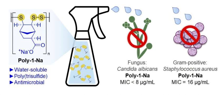 Breakthrough sulfur polymer kills dangerous fungi and bacteria while sparing human and plant cells
