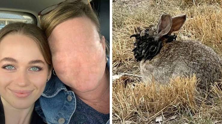 Prepare To Have A Bad Night’s Sleep After Scrolling Through These 63 Downright Creepy Pics