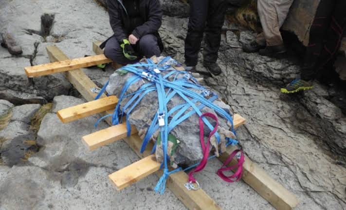 Dog-sized dinosaur discovered that lived among monsters 166 million years ago