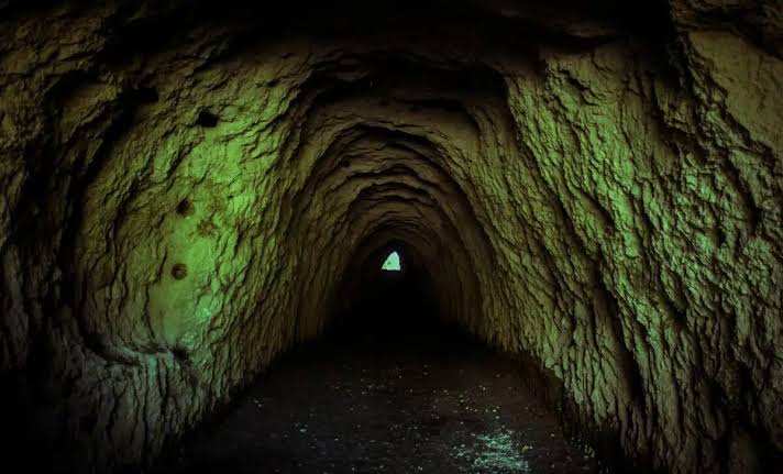 Scientists Found 40,000-Year-Old Frozen Microbes in an Alaska Tunnel...Six Months Later, They Became Active Again