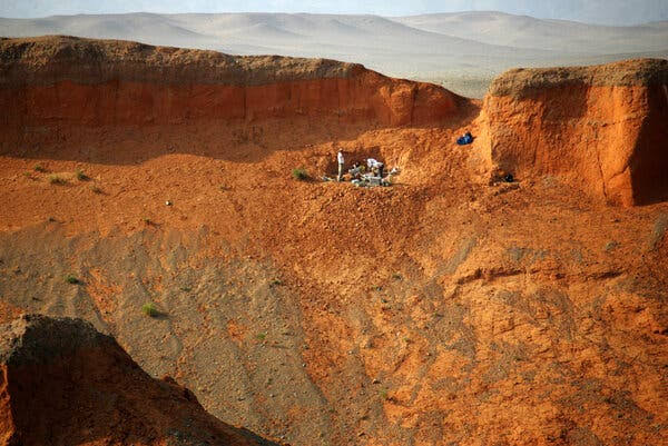 A New Exhibition at New York’s Natural History Museum Honors Fossil Hunters