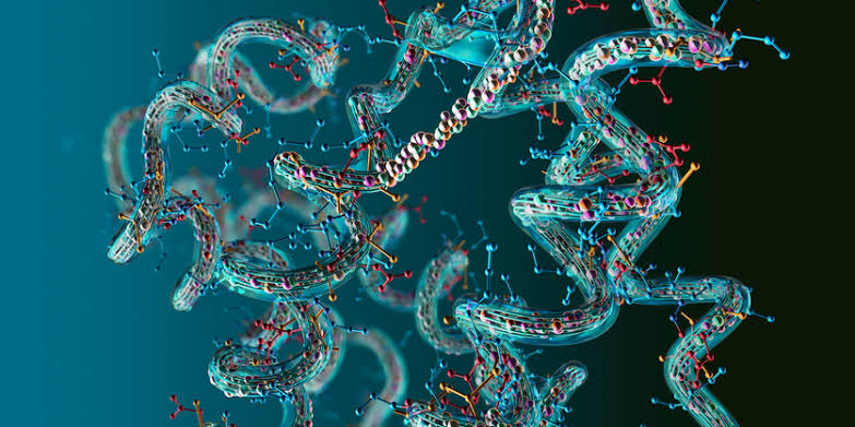 Microproteins and Peptideins Expand Boundaries of the Human Proteome