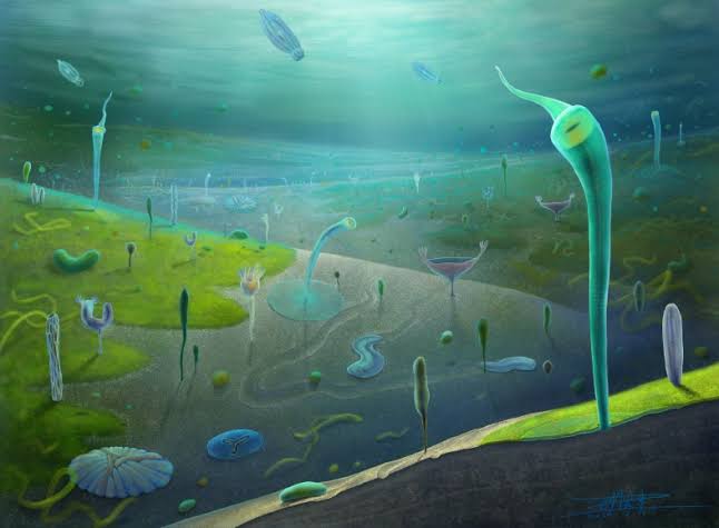 Fossils reveal many complex animals existed before the Cambrian explosion