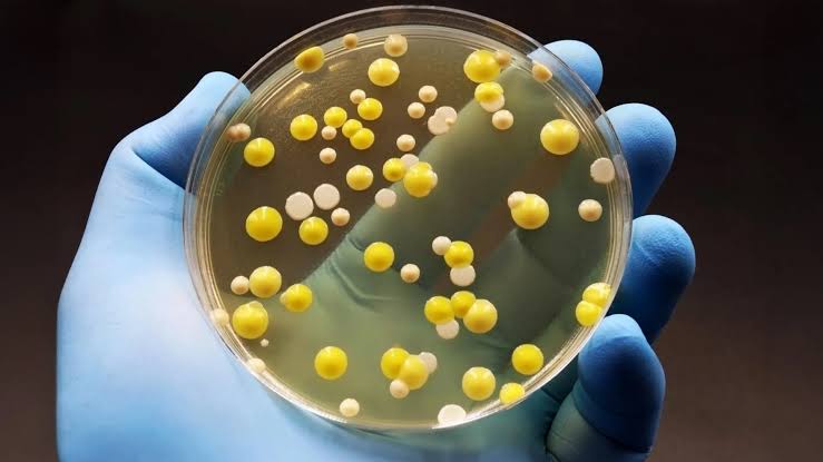 Graphene kills harmful bacteria “superbugs” but spares human cells