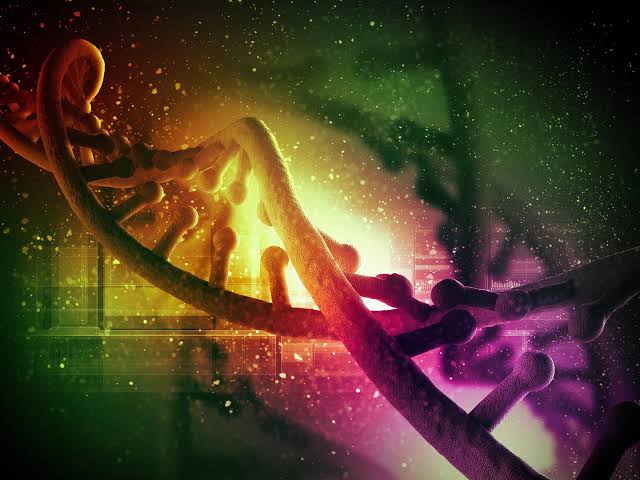 Scientists Discover Evolution’s 120-Million-Year-Old “Cheat Sheet”