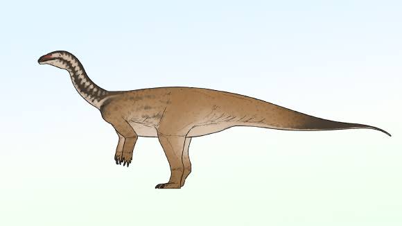 Early Sauropodomorph Dinosaur Unearthed in China