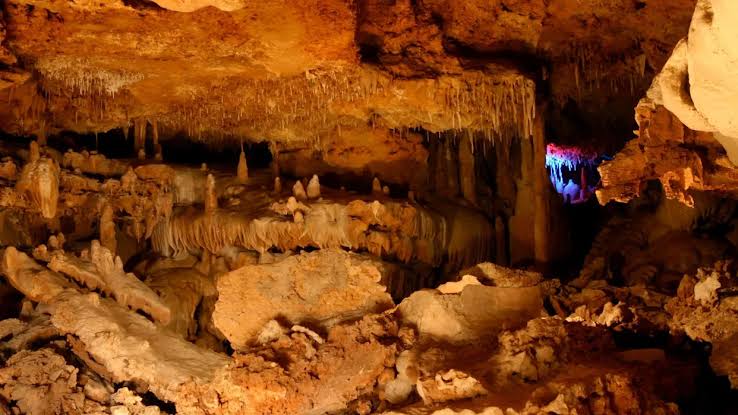 Extinct ice age creatures from 100,000 years ago discovered in Texas cave
