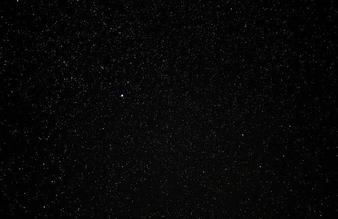 A million new SpaceX satellites will destroy the night sky—for everyone on Earth