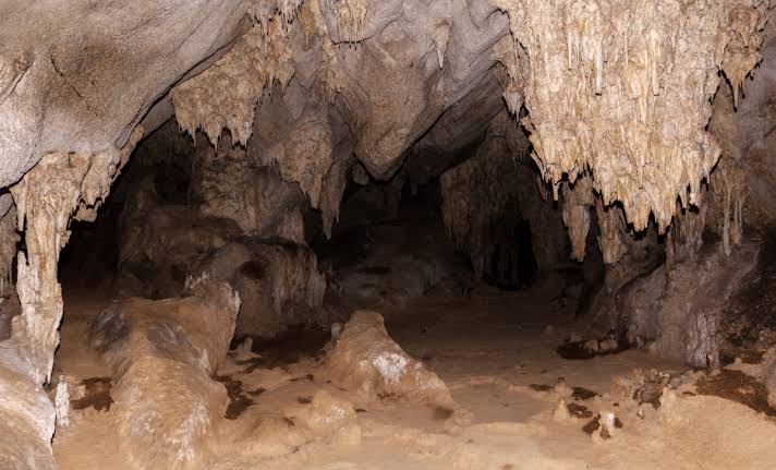 Paleontologist Uncovers Giant Ice Age Creatures From 100,000 Years Ago in Texas Cave