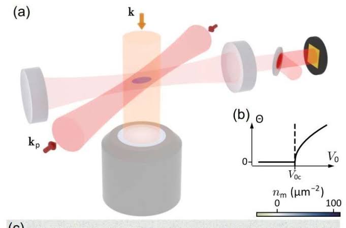 High-resolution imaging captures cavity-induced density waves in a quantum gas