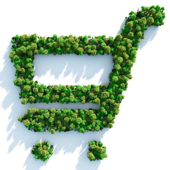 This $16 Plant Could Remove Up to 90% of Toxins in Air