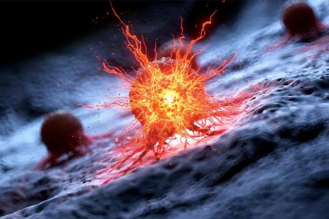 “Totally Unexpected” – Scientists Discover Pancreatic Cancer’s Fatal Addiction