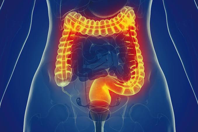 Scientists Flip Immune System “Switch,” Uncover Surprising Path To Stop Gut Inflammation