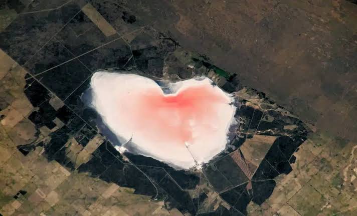 NASA Spots a Massive Pink Heart in Argentina from Space Nearly 10 Kilometers Across. Its Color Has a Much Darker Origin than Romance