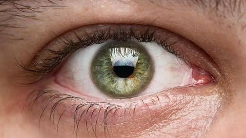 Only 2% Of Humans Have Green Eyes—An Evolutionary Biologist Explains Why