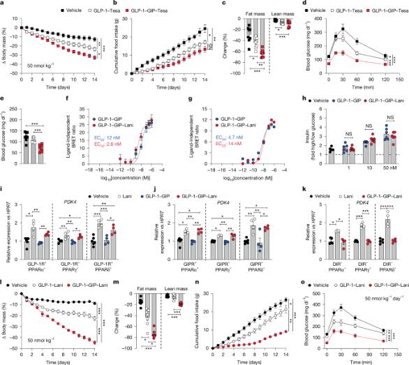 GLP-1R–GIPR–PPARα/γ/δ quintuple agonism corrects obesity and diabetes in mice