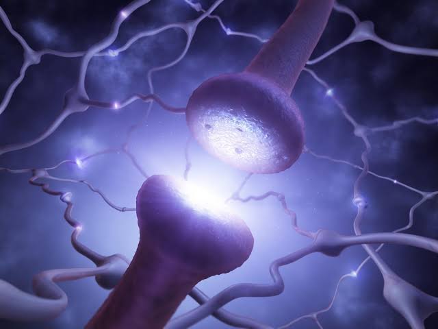 Scientists Debunk 100-Year-Old Belief About Brain Cells, Rewriting Textbooks