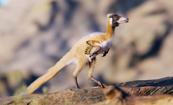 Tiny dinosaur weighing less than 2 pounds is turning evolution theories upside down
