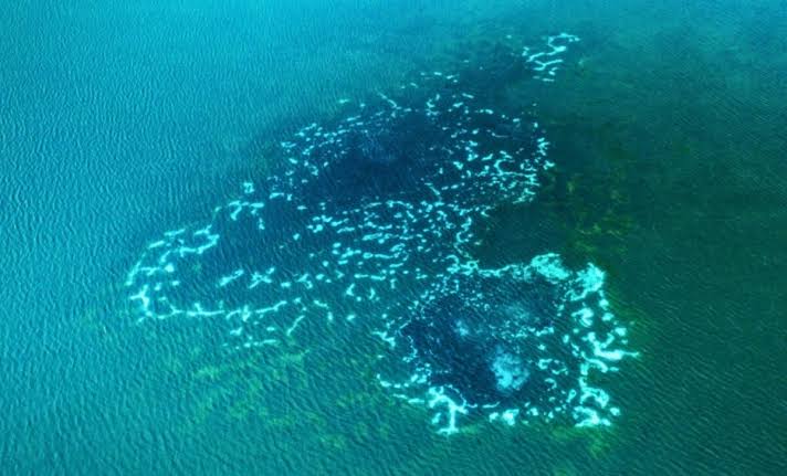 Scientists Discover a Phantom Gas Leak Across the Open Sea That Could Accelerate Climate Collapse