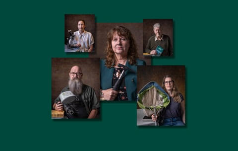 In the footsteps of Linnaeus: scientists share their passion for species from tiny wasps to hairy plants – in pictures