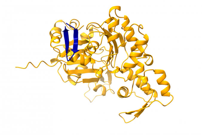 Nature study defines 1,785 new peptideins as promising cancer therapy targets