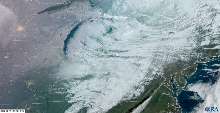 It’s Fireball Season! Answering Your Meteor Questions