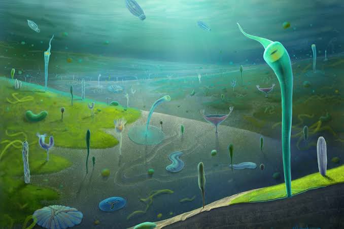 Humans’ closest invertebrate ancestors date back much further than thought – how we discovered the fossils that show this