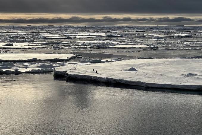 A ‘triple whammy’ of chaos has triggered a downward spiral in Antarctica, scientists discover