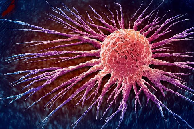 Scientists Turn Cancer’s Own Bacteria Against It in Breakthrough Therapy