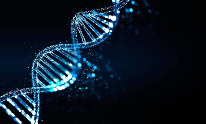 They Removed One of Life's 20 Essential Amino Acids from Bacteria, and It Survived 450 Generations