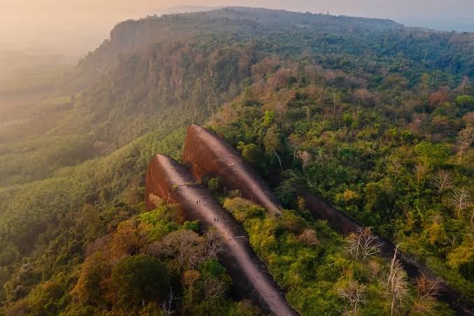 Staggering drone images show three colossal 'whales' rising from a forest in Thailand