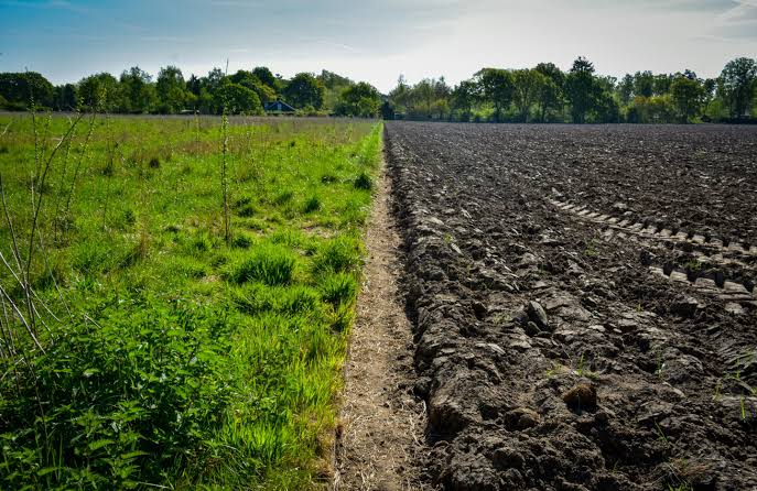 Buried in soil, a 100-million-year-old bacterial toxin could reshape pest control and antibiotic discovery